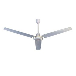 Ramtons 5 speed Ceiling Fan RM/420 (White)