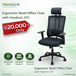 Ergonomic Mesh Office Chair with Headrest 2511