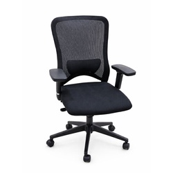 ProMesh Ergonomic Office Chair SX-2510
