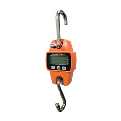 300Kg Mini Crane Scale OCS-M