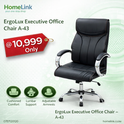 ErgoLux Executive Office Chair A-43