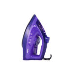 Haier HEC3009-GS Steam Iron Box