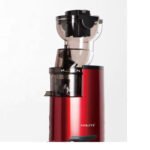 Sokany Whole Slow Juicer JE-2